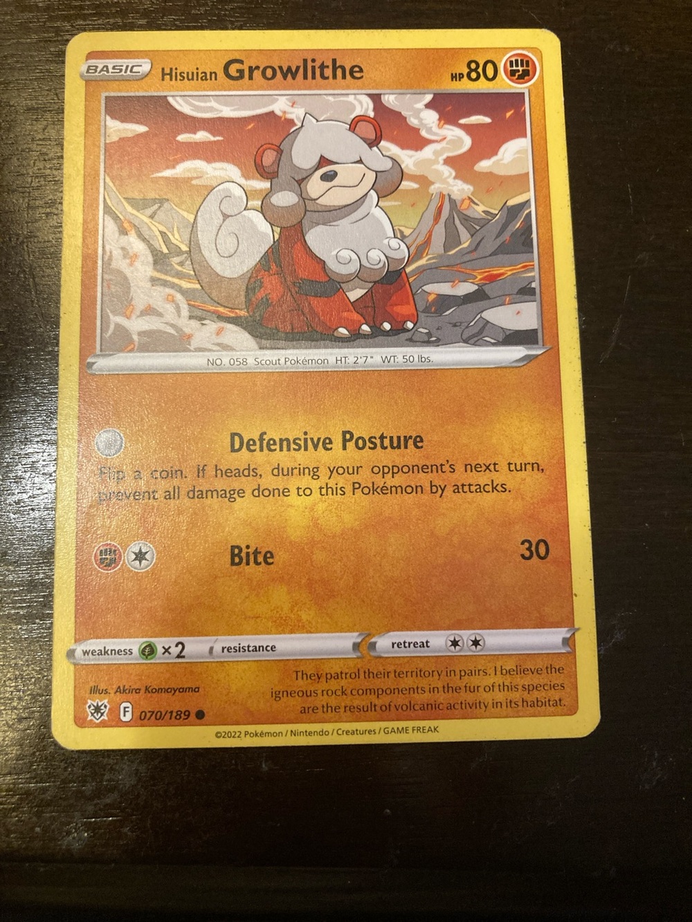 (Check last picture to see wearing)  Hisuian Growlithe Trading Card